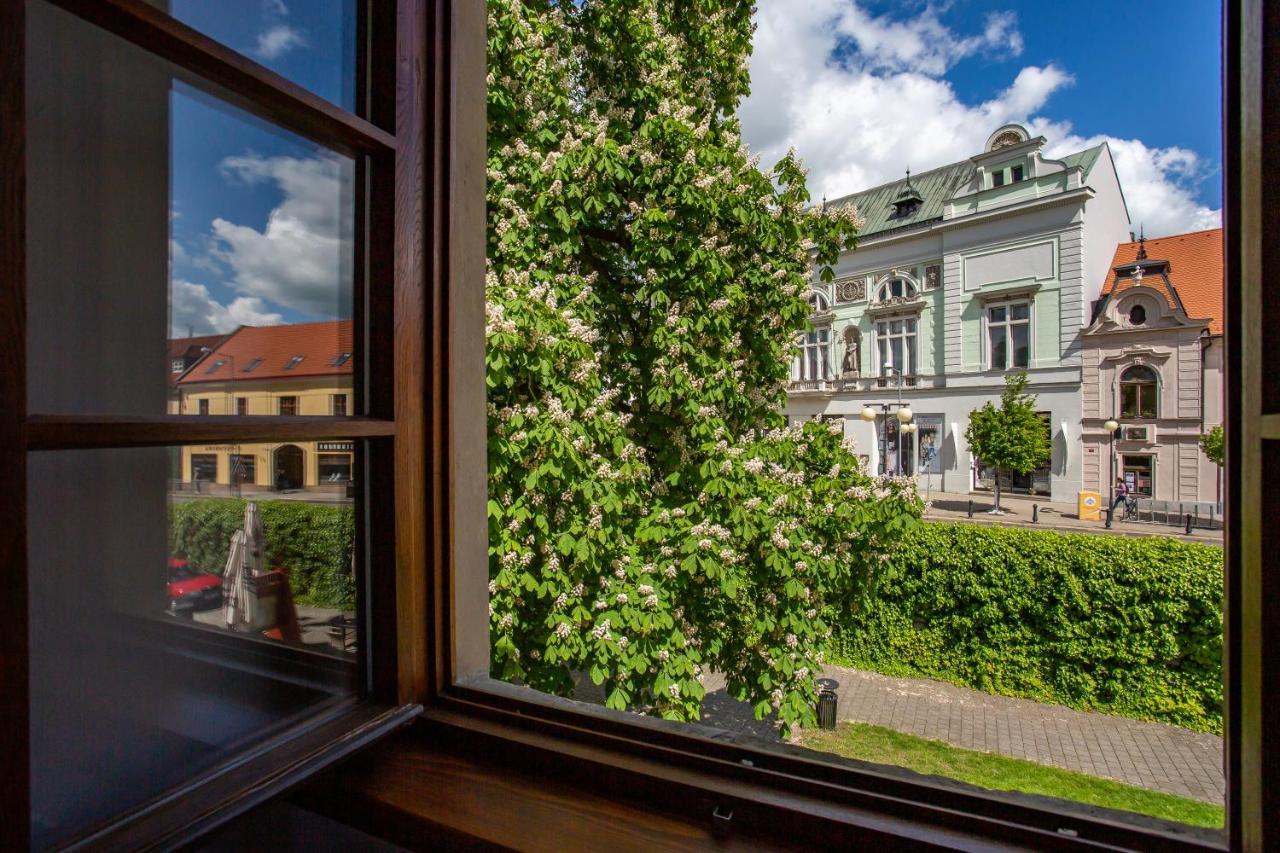 Castle Hotel & Wellness Poděbrady Eksteriør bilde